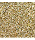 Wholegrain Organic Rye Grain.jpg
