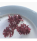 Table 181 Irish Moss Red Seaweed 30g