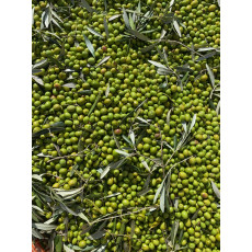 Alto Novello Ev Olive Oil 4l