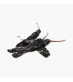 Mexican Pasilla Chilli 1kg